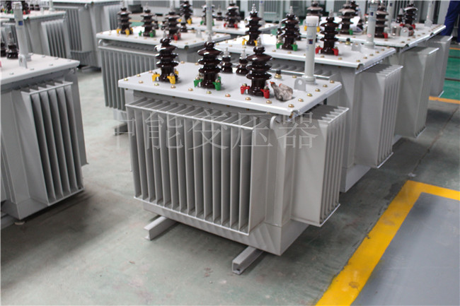 张家界S22-250KVA/10KV变压器